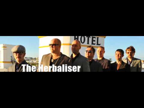 the herbaliser – the blend (j large remix)