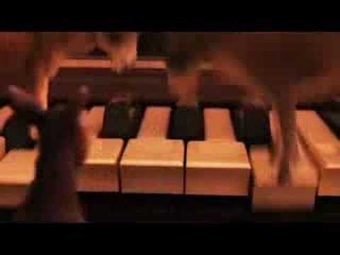 Mr Scruff – Donkey Ride