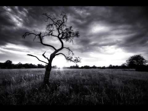 Massive Attack – Superpredators (jackal remix)