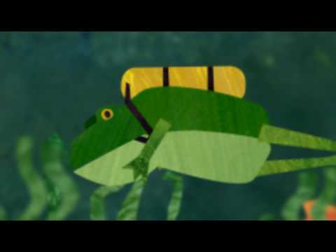 Mr Scruff – Fish Music Video