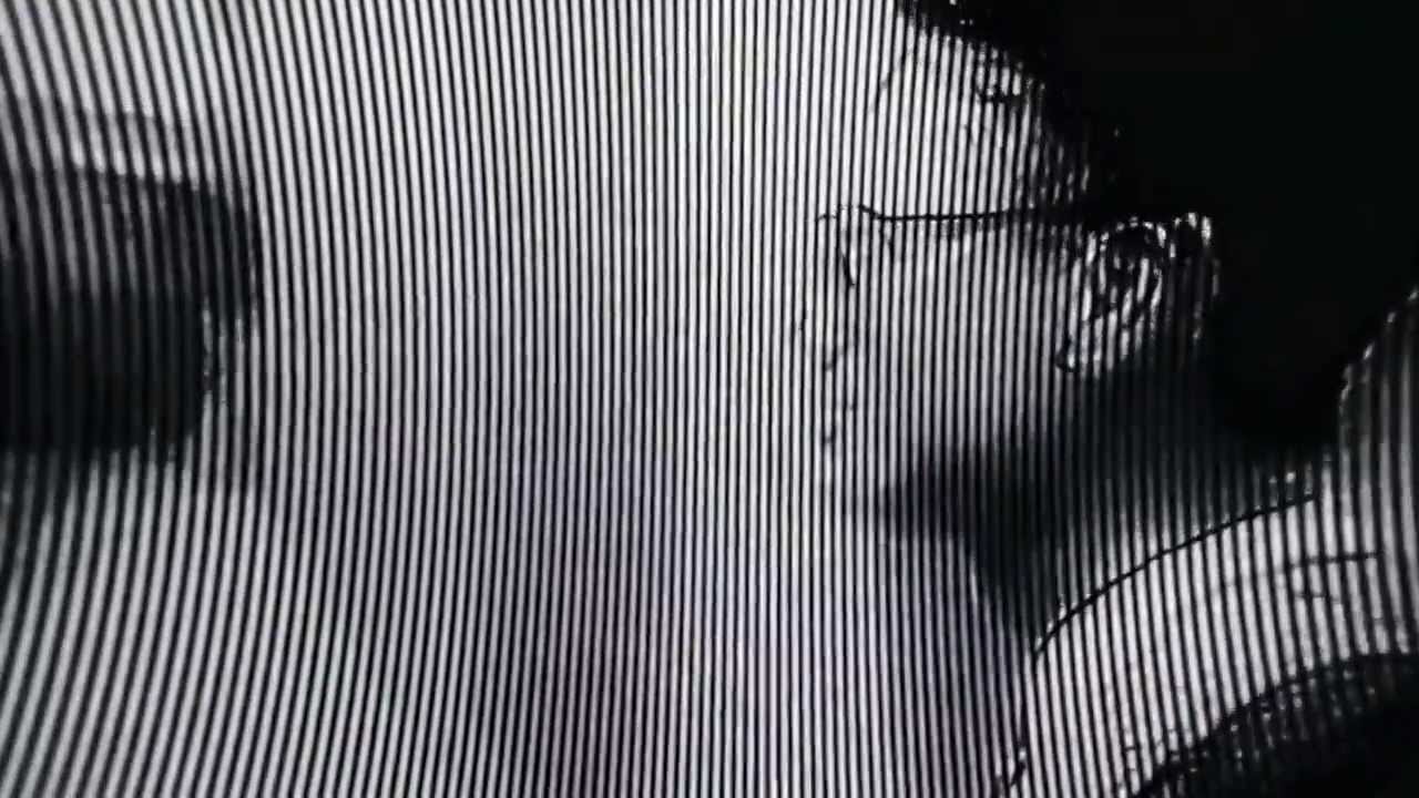 Waldeck-jerry weintraub