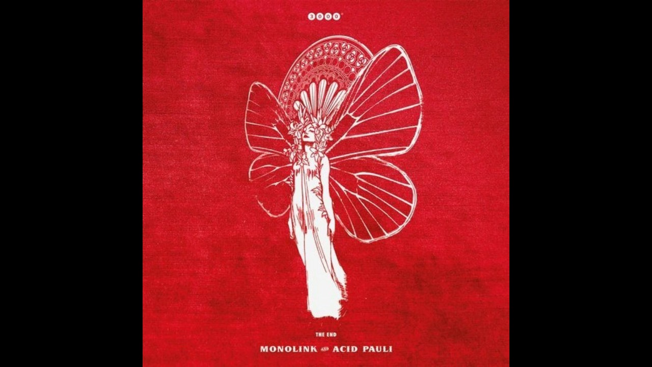 Acid Pauli, Monolink – New Morning (Original Mix)