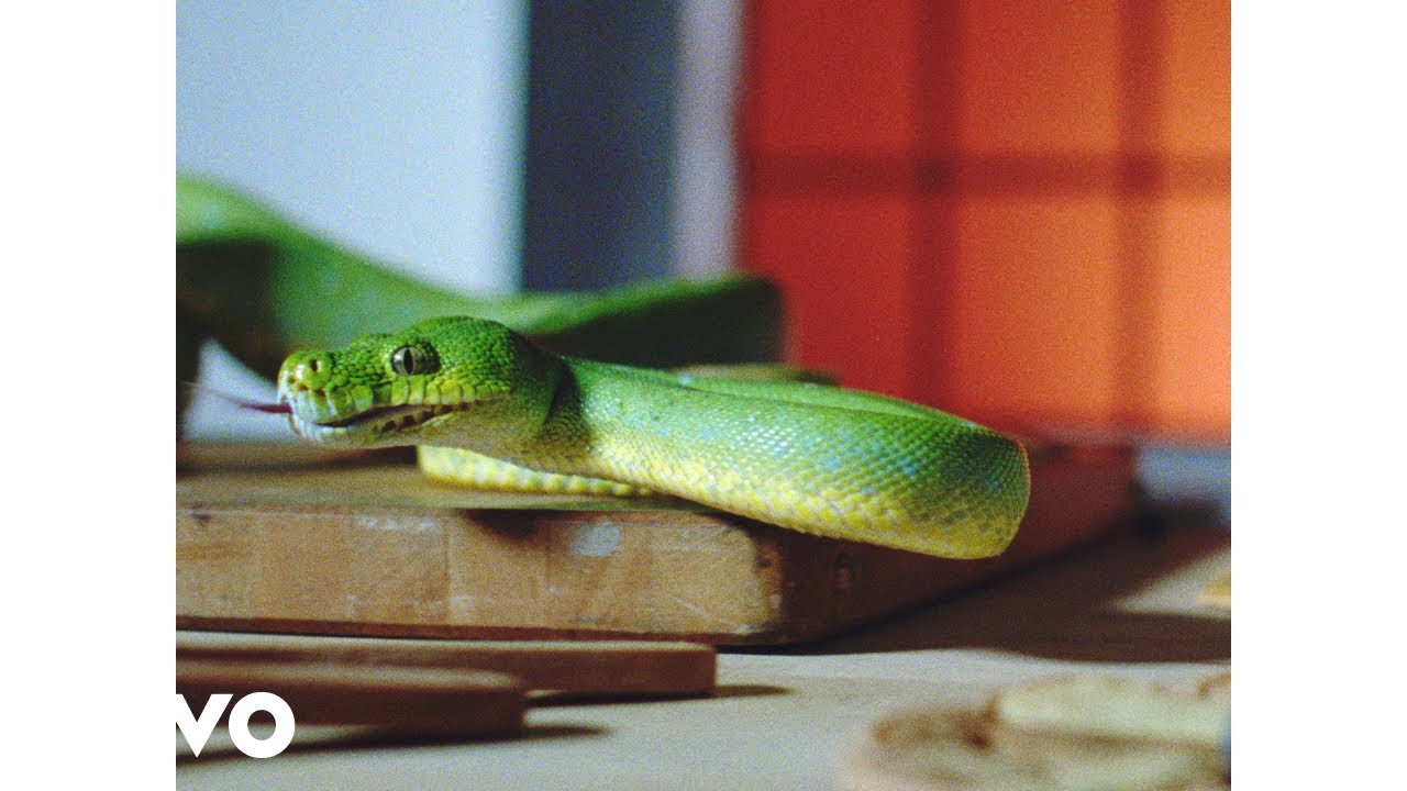 Vampire Weekend – Harmony Hall (Official Video)