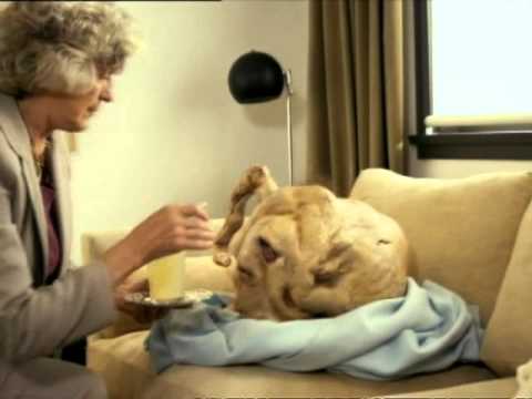 Yeasayer – Madder Red (Official Music Video)