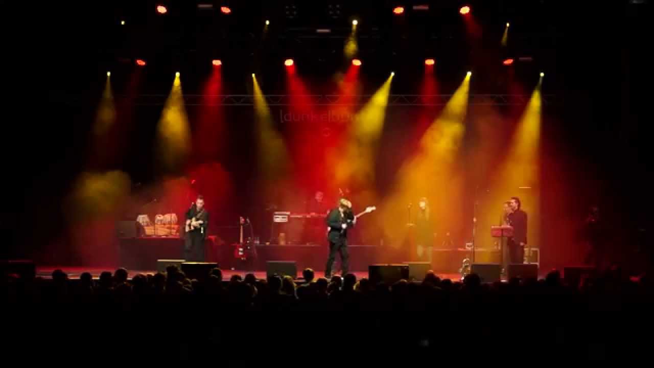 dunkelbunt live impressions @ gasometer/vienna (29th january 2015)