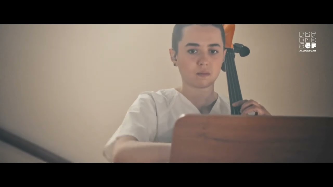 Alligatoah – Feinstaub (Friends of Alligatoah)