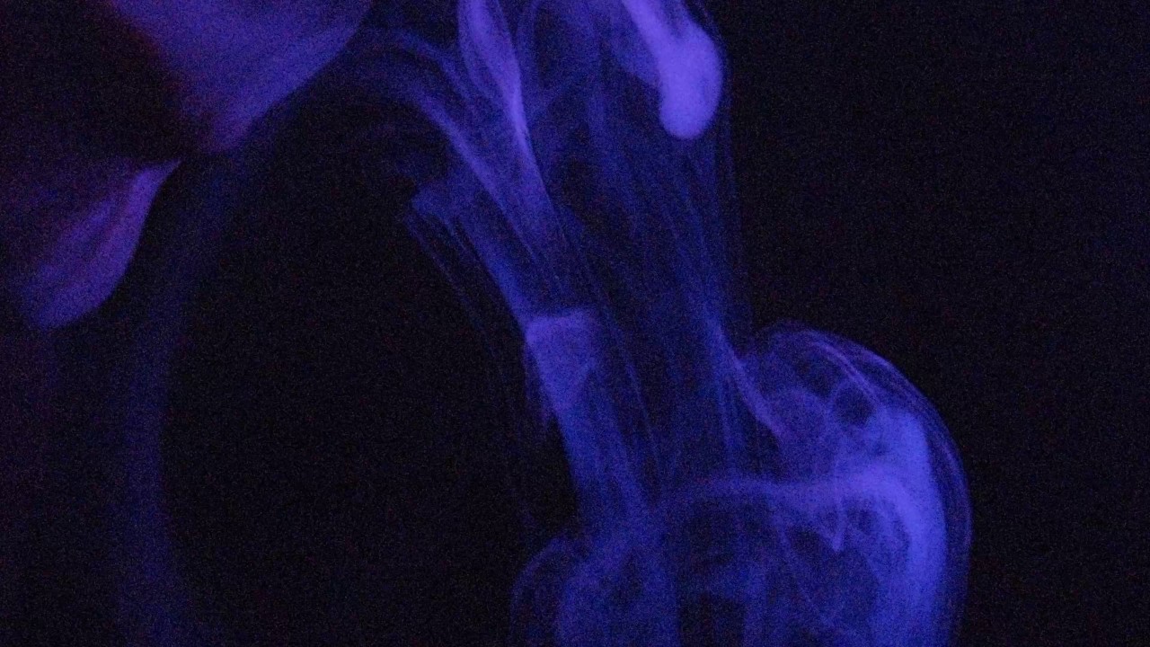 Timewarp inc. –  An old funk (Instrumental) ᴴᴰ